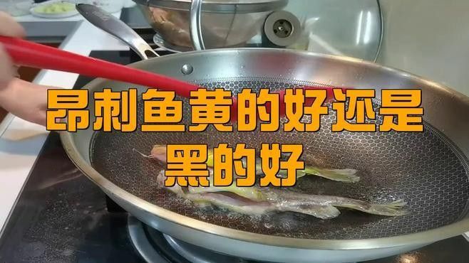 安次魚(yú)圖片（如何區(qū)分不同品種的安次魚(yú)？） 安次魚(yú)圖片（如何區(qū)分不同品種的安次魚(yú)？） 觀賞魚(yú)百科 第7張