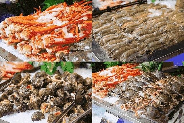 海南哪個水族館龍魚好？祥龍魚場龍魚（廣州祥龍魚場）