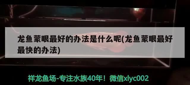 龍魚蒙眼最好的辦法是什么呢(龍魚蒙眼最好最快的辦法)（龍魚蒙眼最好的辦法是什么）