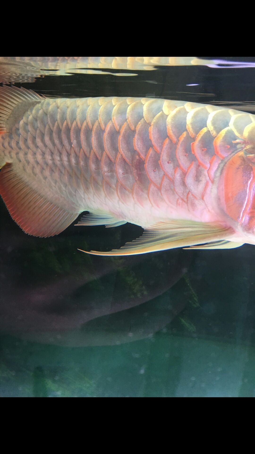 這是蝕鱗嗎？（“蝕鱗”與物質(zhì)的磨損、腐蝕以及環(huán)境因素的復(fù)雜現(xiàn)象）