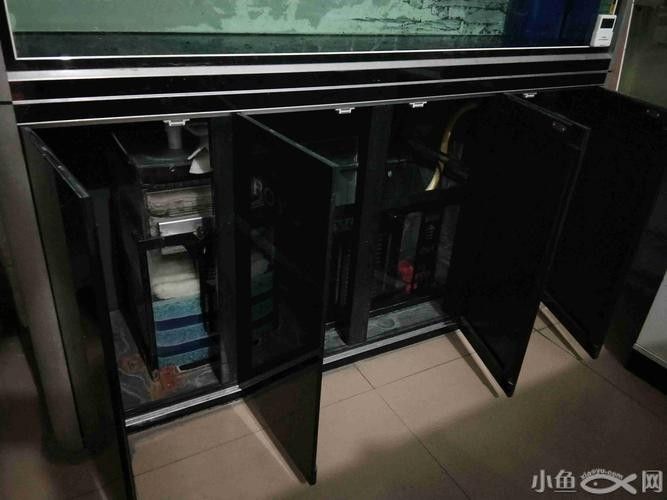 哪個品牌的魚缸性價(jià)比最高（2025年魚缸十大品牌推薦） 哪個品牌的魚缸性價(jià)比最高（2025年魚缸十大品牌推薦） 龍魚百科 第4張