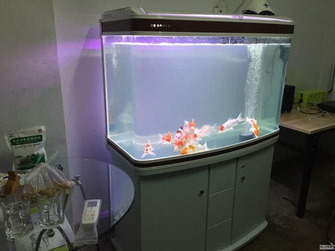 哪個品牌的魚缸性價(jià)比最高（2025年魚缸十大品牌推薦） 哪個品牌的魚缸性價(jià)比最高（2025年魚缸十大品牌推薦） 龍魚百科 第5張