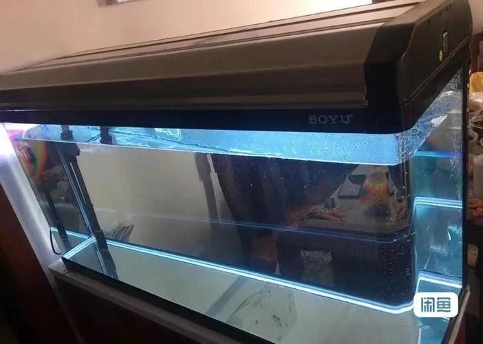 哪個品牌的魚缸性價(jià)比最高（2025年魚缸十大品牌推薦） 哪個品牌的魚缸性價(jià)比最高（2025年魚缸十大品牌推薦） 龍魚百科 第3張