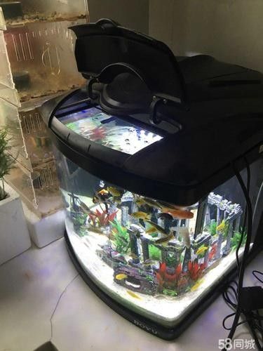 哪個品牌的魚缸性價(jià)比最高（2025年魚缸十大品牌推薦） 哪個品牌的魚缸性價(jià)比最高（2025年魚缸十大品牌推薦） 龍魚百科 第8張