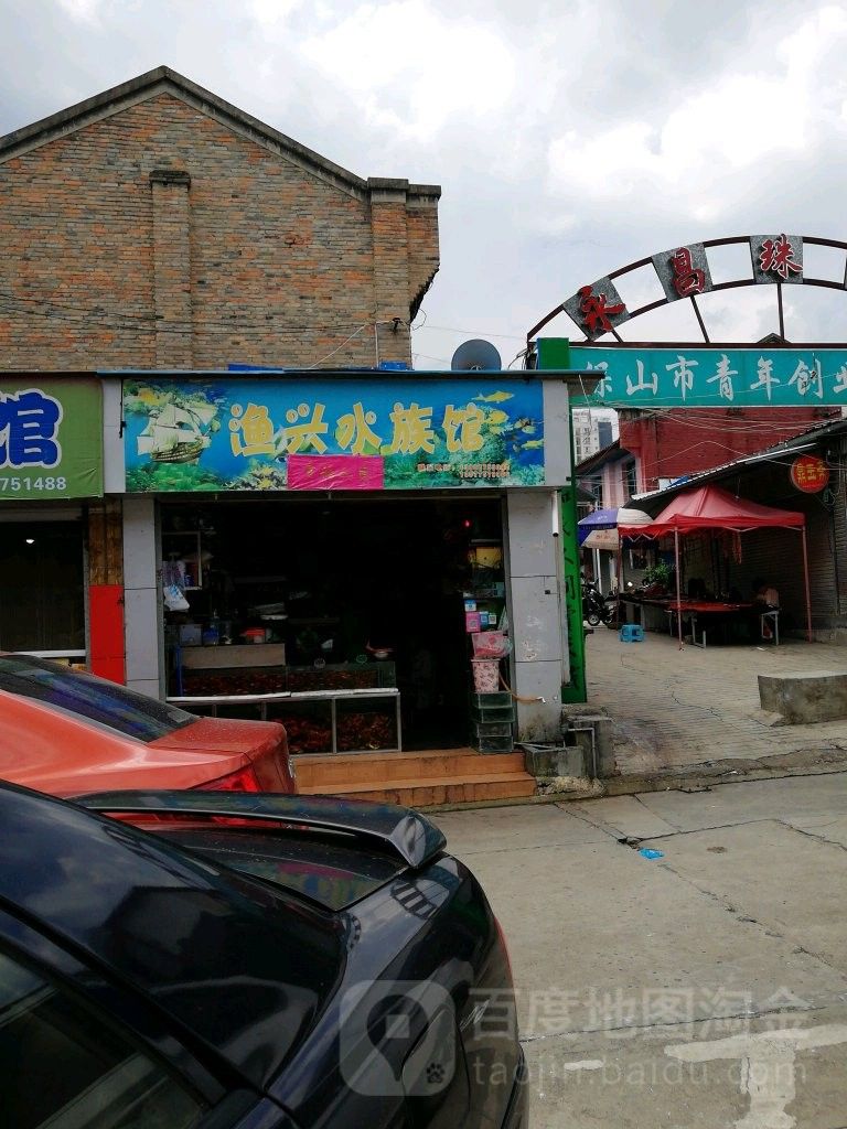 保山哪個水族館龍魚好？祥龍魚場龍魚（保山祥龍魚場龍魚）
