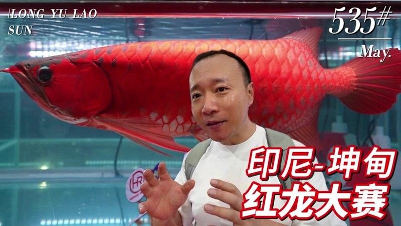 如何判斷龍魚是否適合打包運輸（新京報,觀賞魚打包小技巧(圖文并茂版)）