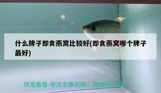 什么牌子即食燕窩比較好(即食燕窩哪個牌子最好)（2019年什么牌子即食燕窩哪個牌子即食燕窩比較好） 什么牌子即食燕窩比較好(即食燕窩哪個牌子最好)（2019年什么牌子即食燕窩哪個牌子即食燕窩比較好） 觀賞魚百科