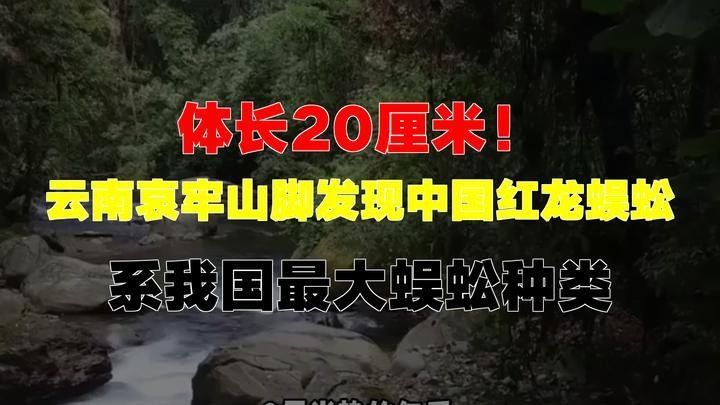 如何區分紅龍蜈蚣的雌雄？（如何區分紅龍蜈蚣）