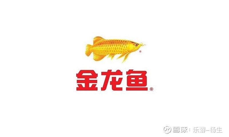 鯉魚和金龍魚是一家嗎（鯉魚牌和金龍魚是一家公司嗎）