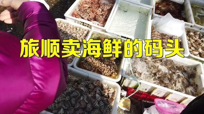 旅順漁港碼頭（大連旅順漁港碼頭一覽表，） 旅順漁港碼頭（大連旅順漁港碼頭一覽表，） 觀賞魚百科 第1張