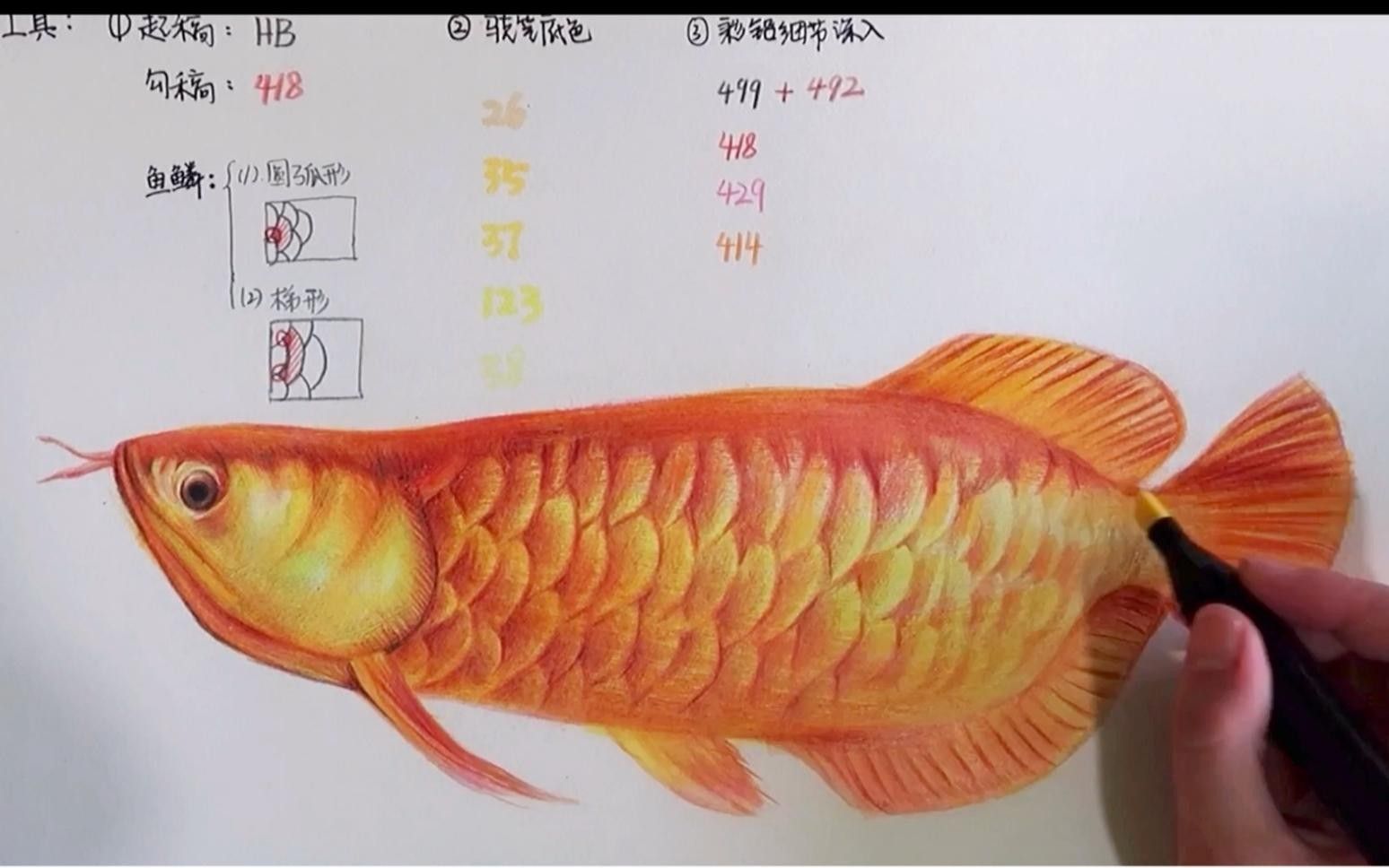 金龍魚圖片頭像（簡潔風格的金龍魚圖片頭像設計有哪些金龍魚卡通形象設計） 金龍魚圖片頭像（簡潔風格的金龍魚圖片頭像設計有哪些金龍魚卡通形象設計） 觀賞魚百科 第13張