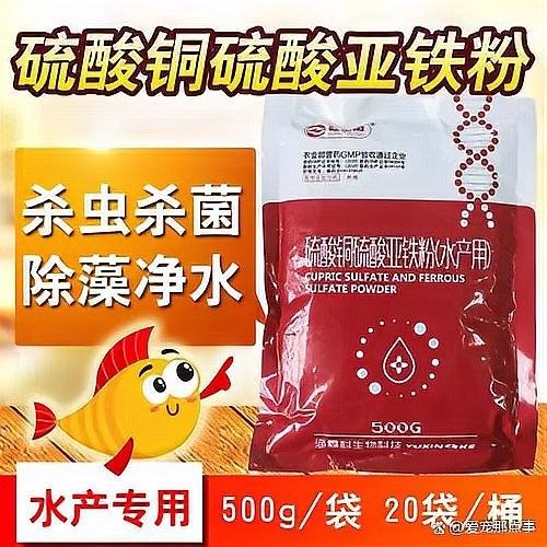 哪些驅(qū)蟲藥對龍魚有效（對龍魚有效的驅(qū)蟲藥物） 哪些驅(qū)蟲藥對龍魚有效（對龍魚有效的驅(qū)蟲藥物） 龍魚百科 第3張