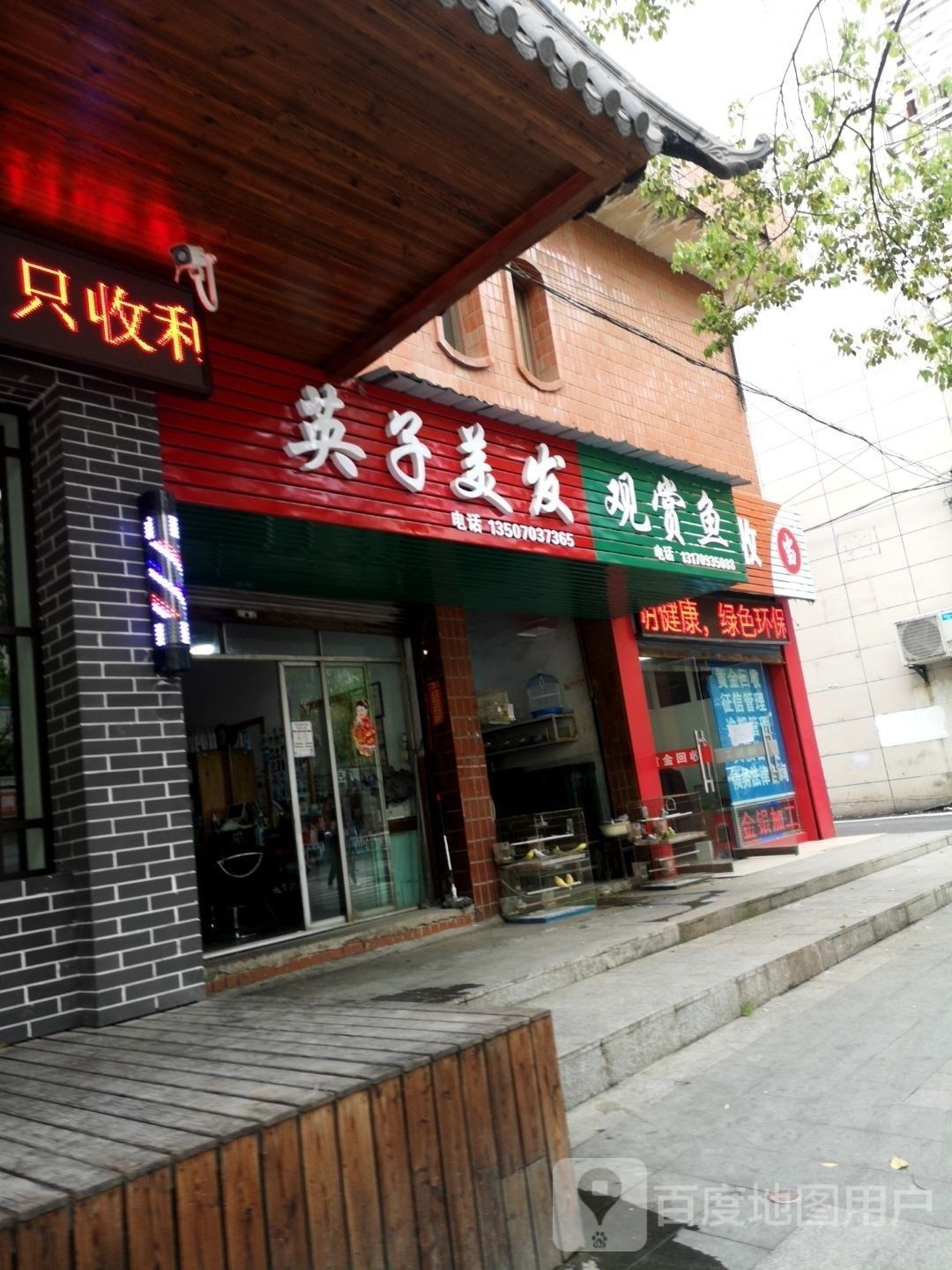 玉山哪個水族館龍魚好？祥龍魚場龍魚（臺灣祥龍魚場的水族館位于臺灣省新竹市北區新竹市北區）