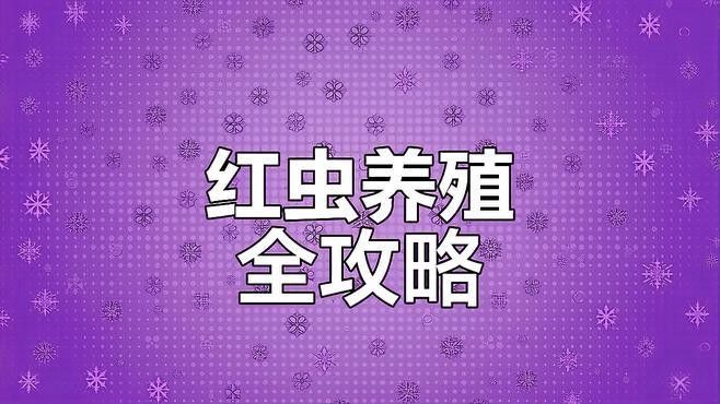紅蟲需要消毒嗎？（養魚小知識:紅線蟲怎么消毒） 紅蟲需要消毒嗎？（養魚小知識:紅線蟲怎么消毒） 龍魚百科 第2張