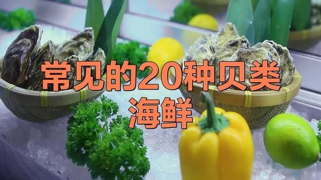 龍虎匯水族館的海鮮品種有哪些（<strong><mark>深圳</mark></strong>龍虎匯水族館提供的海鮮品種和精致的展示而聞名）