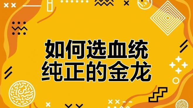 如何鑒別金頭過背金龍魚的品質？（如何鑒別金頭過背金龍魚的品質）