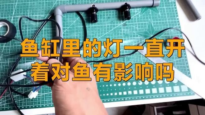 魚喜歡開燈還是關燈（timtian養魚晚上開燈好還是不開燈好） 魚喜歡開燈還是關燈（timtian養魚晚上開燈好還是不開燈好） 觀賞魚百科 第8張