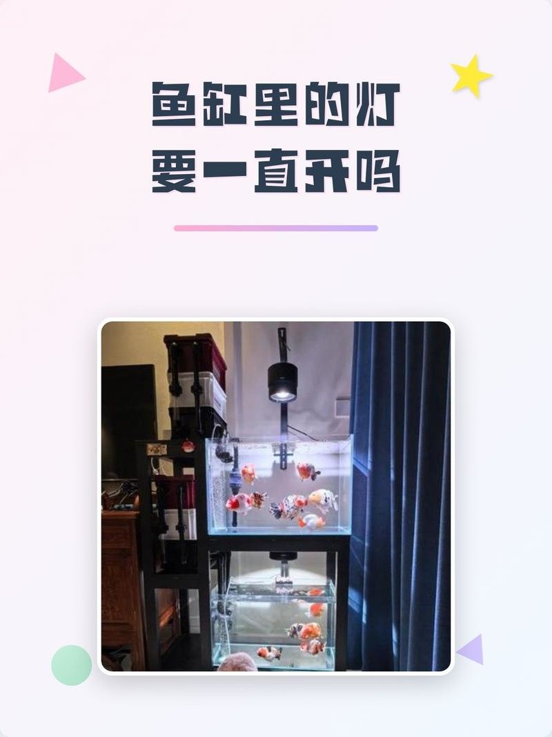 魚喜歡開燈還是關燈（timtian養魚晚上開燈好還是不開燈好） 魚喜歡開燈還是關燈（timtian養魚晚上開燈好還是不開燈好） 觀賞魚百科 第4張