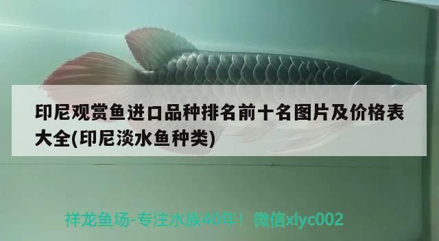 池州魚缸換水服務中心地址電話號碼：池州市自來水公司24小時服務熱線（池州魚缸換水中心）