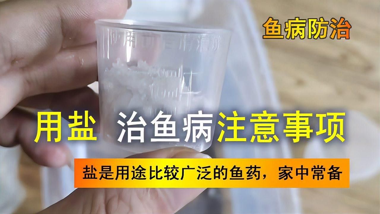 魚生病了加鹽可以嗎（魚生病了加鹽可以嗎養魚大佬專門講解魚缸加鹽的注意事項） 魚生病了加鹽可以嗎（魚生病了加鹽可以嗎養魚大佬專門講解魚缸加鹽的注意事項） 觀賞魚百科 第1張