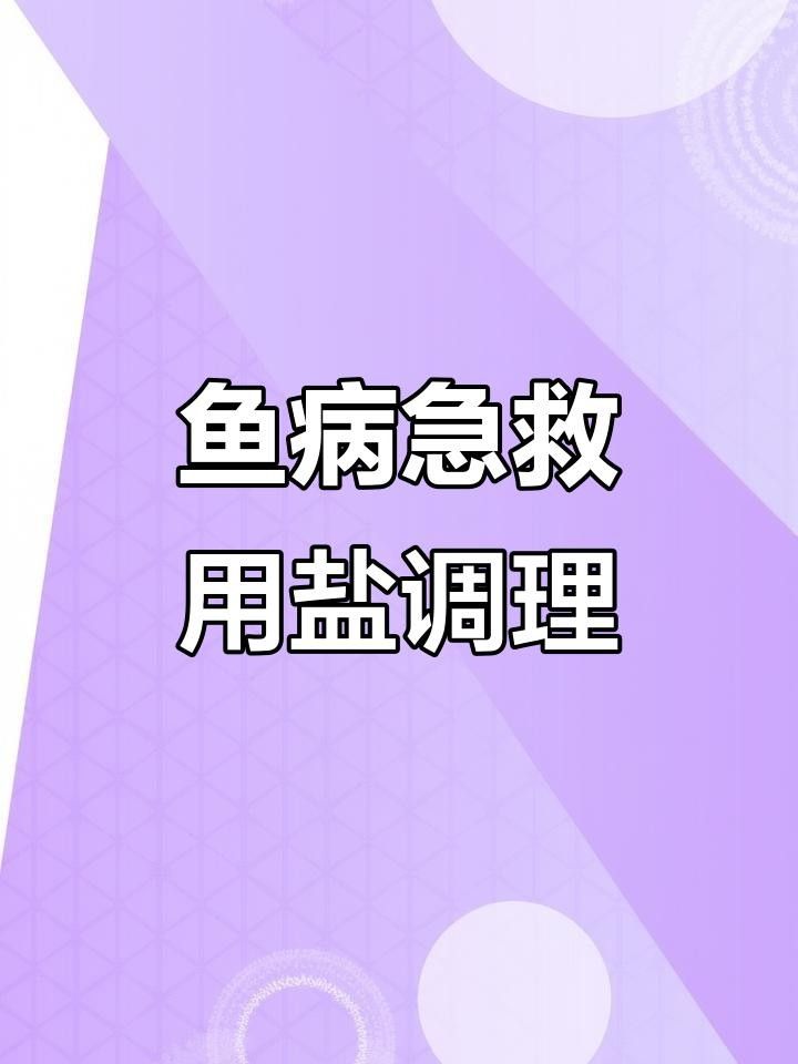魚生病了加鹽可以嗎（魚生病了加鹽可以嗎養魚大佬專門講解魚缸加鹽的注意事項） 魚生病了加鹽可以嗎（魚生病了加鹽可以嗎養魚大佬專門講解魚缸加鹽的注意事項） 觀賞魚百科 第2張