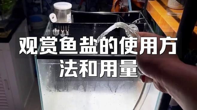 魚生病了加鹽可以嗎（魚生病了加鹽可以嗎養魚大佬專門講解魚缸加鹽的注意事項） 魚生病了加鹽可以嗎（魚生病了加鹽可以嗎養魚大佬專門講解魚缸加鹽的注意事項） 觀賞魚百科 第3張