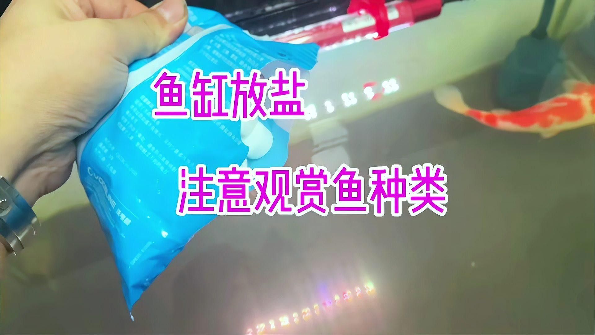 魚生病了加鹽可以嗎（魚生病了加鹽可以嗎養魚大佬專門講解魚缸加鹽的注意事項） 魚生病了加鹽可以嗎（魚生病了加鹽可以嗎養魚大佬專門講解魚缸加鹽的注意事項） 觀賞魚百科 第4張
