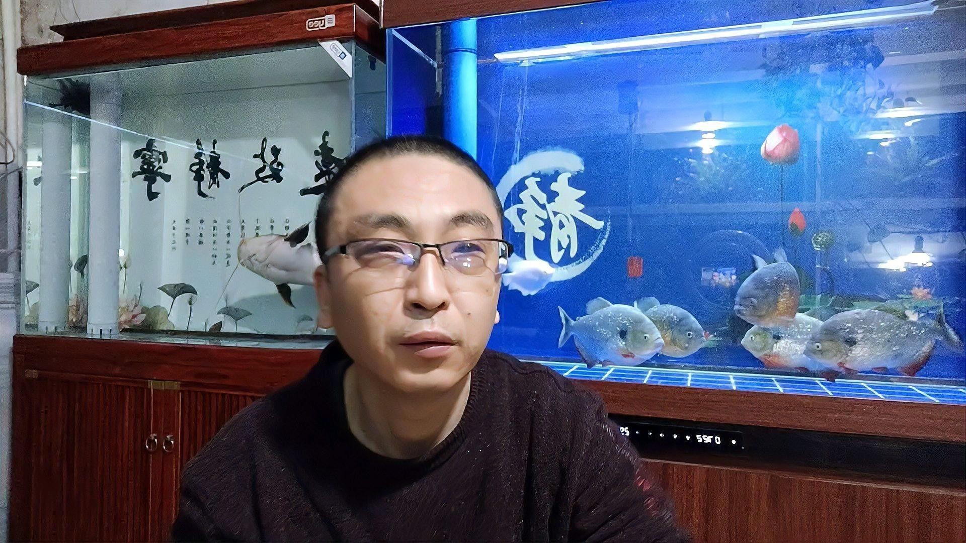魟魚與龍魚混養需要注意什么（養魟魚和龍魚時需要注意以下幾點：魚缸大小：確保魚缸足夠大）