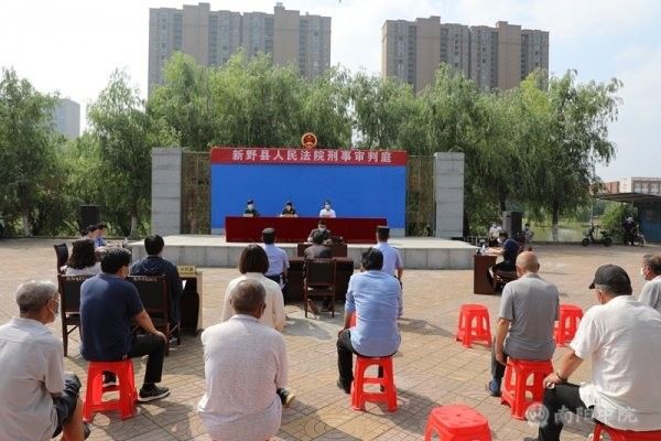 新野白河有什么魚 新野白河有什么魚 觀賞魚百科 第4張