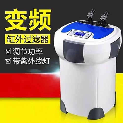 雷龍魚缸過濾系統噪音大嗎？（雷龍魚缸過濾系統噪音太大怎么辦從這3個技巧處理）