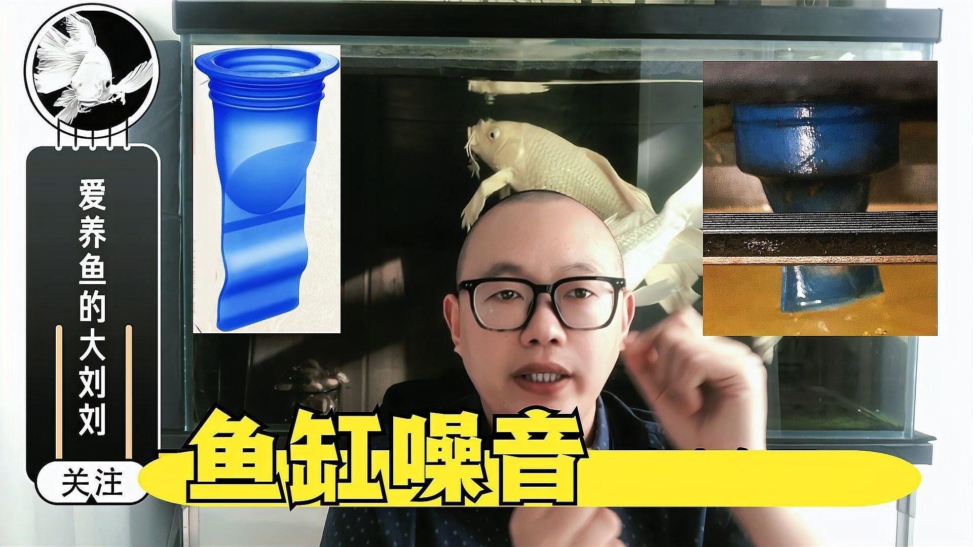 雷龍魚缸過濾系統噪音大嗎？（雷龍魚缸過濾系統噪音太大怎么辦從這3個技巧處理）