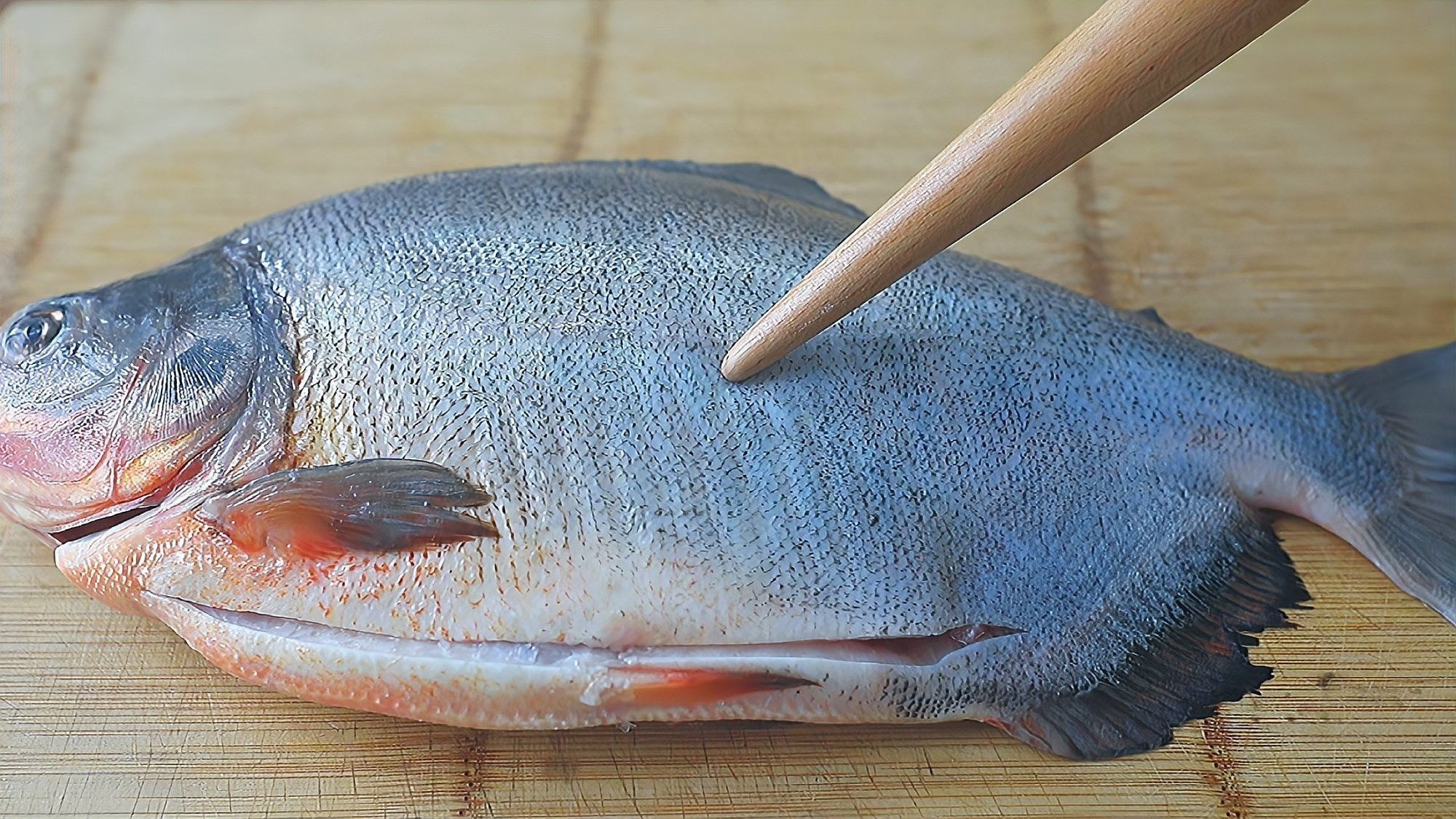 如何制作清蒸盤龍魚？（清蒸盤龍魚的做法）