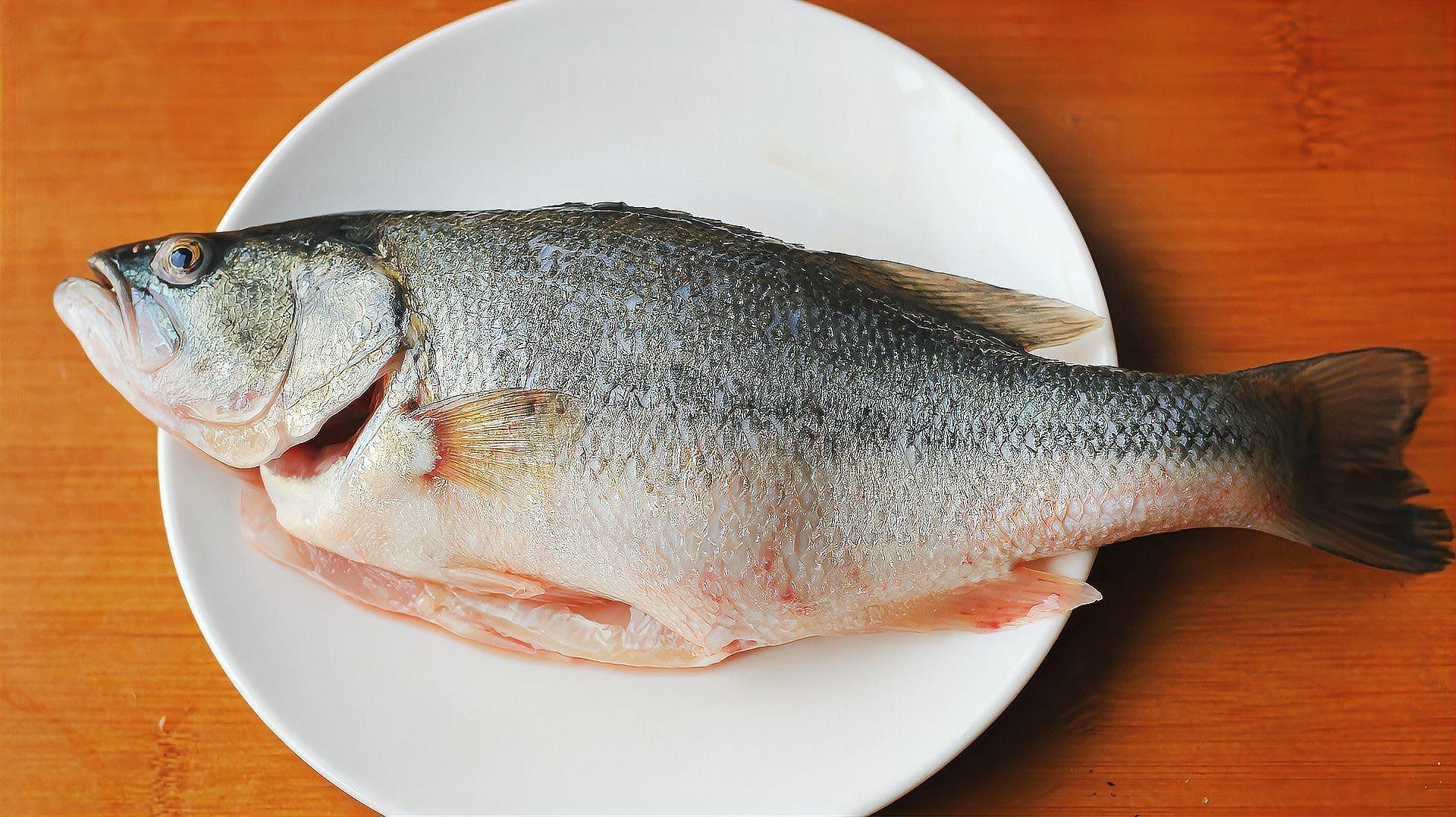 如何制作清蒸盤龍魚？（清蒸盤龍魚的做法）