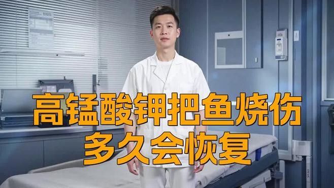 雷龍魚燒鰭后多久能恢復（雷龍魚燒鰭后多久能恢復起航知識小百科雷龍跳缸魚鰭怎樣治療）
