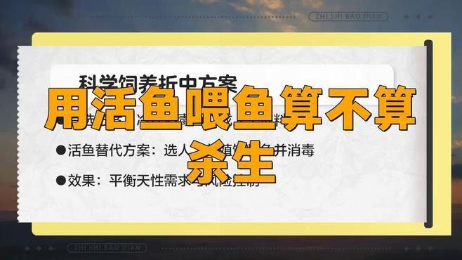 用活魚喂魚算不算殺生（用活魚喂魚是否算殺生）