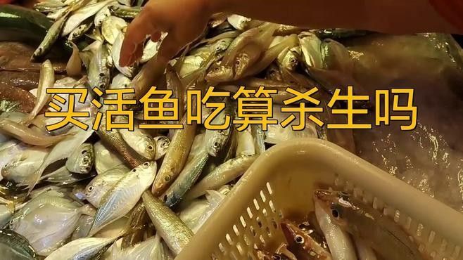 用活魚喂魚算不算殺生（用活魚喂魚是否算殺生）
