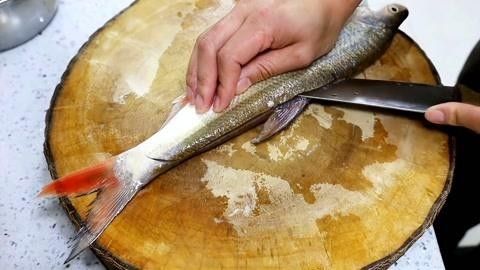 紅尾平克魚最佳處理方法 紅尾平克魚最佳處理方法 觀賞魚百科 第2張