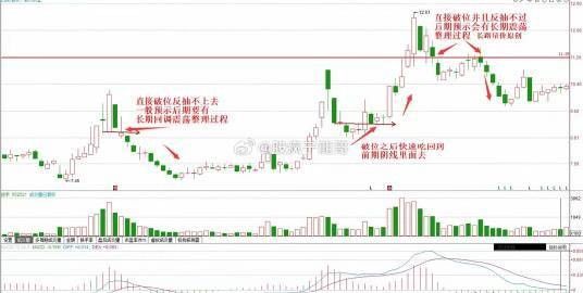 龍頭股調整后還會漲嗎？（龍頭股在經過調整后還會漲嗎一招教你辨別股瘋子龍哥） 龍頭股調整后還會漲嗎？（龍頭股在經過調整后還會漲嗎一招教你辨別股瘋子龍哥） 龍魚百科 第10張