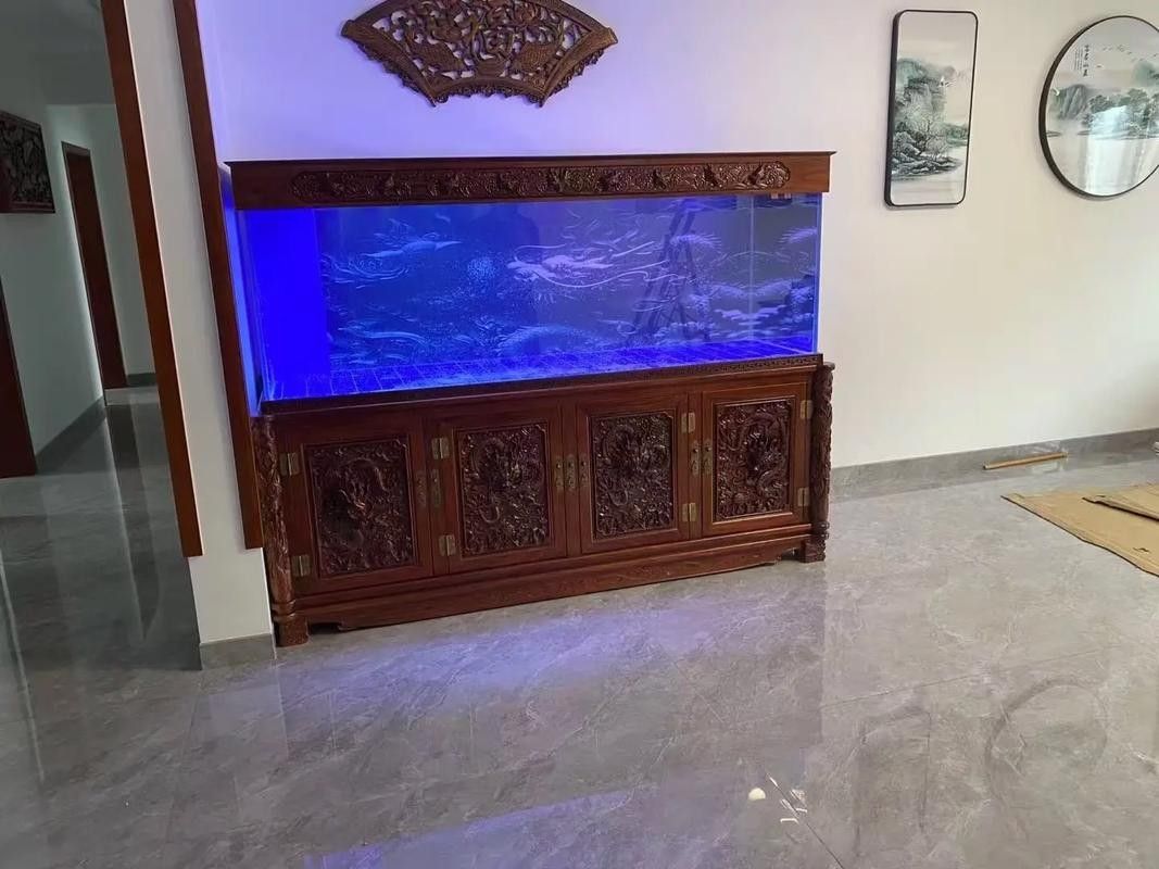 榆樹哪個(gè)水族館龍魚好？祥龍魚場(chǎng)龍魚（<strong><mark>北京</mark></strong>地區(qū)與“榆樹”相關(guān)的水族館及龍魚養(yǎng)殖場(chǎng)推薦）