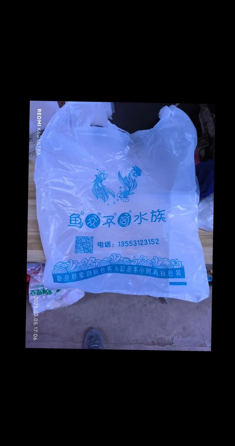 紅龍服飾搭配技巧(紅龍服飾怎么搭配) 龍魚百科 第1張 紅龍服飾搭配技巧(紅龍服飾怎么搭配) 紅龍服飾搭配技巧(紅龍服飾怎么搭配) 龍魚百科 第1張