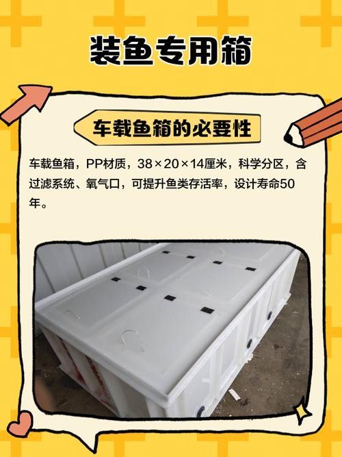 去馬來西亞買龍魚需要辦理哪些手續（馬來西亞交易時需要遵循一些基本步驟和注意事項） 去馬來西亞買龍魚需要辦理哪些手續（馬來西亞交易時需要遵循一些基本步驟和注意事項） 龍魚百科 第4張