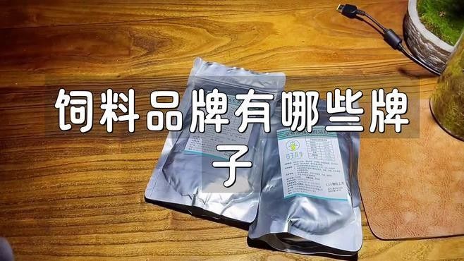 龍魚吃人工飼料有哪些品牌推薦（十大龍魚人工飼料品牌） 龍魚吃人工飼料有哪些品牌推薦（十大龍魚人工飼料品牌） 龍魚百科 第2張