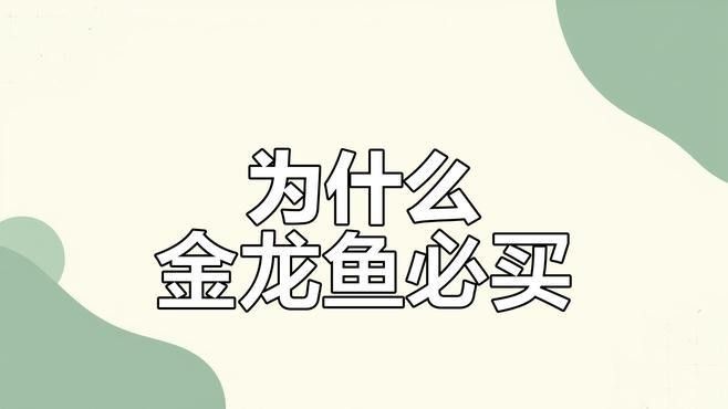 千陽金龍魚是兇魚還是吉魚（千陽金龍魚是吉魚還是兇魚）