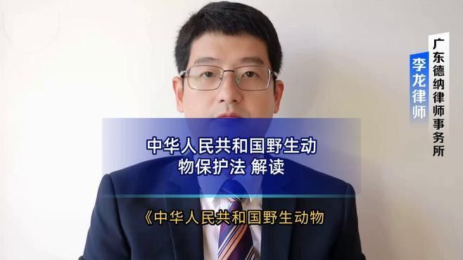 金龍魚和紅龍魚雜交是否受法律處罰？（金龍魚和紅龍魚雜交是否受法律處罰金龍魚和紅龍魚雜交是否受法律處罰）