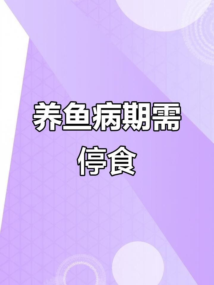 龍魚生病期能喂食嗎圖片