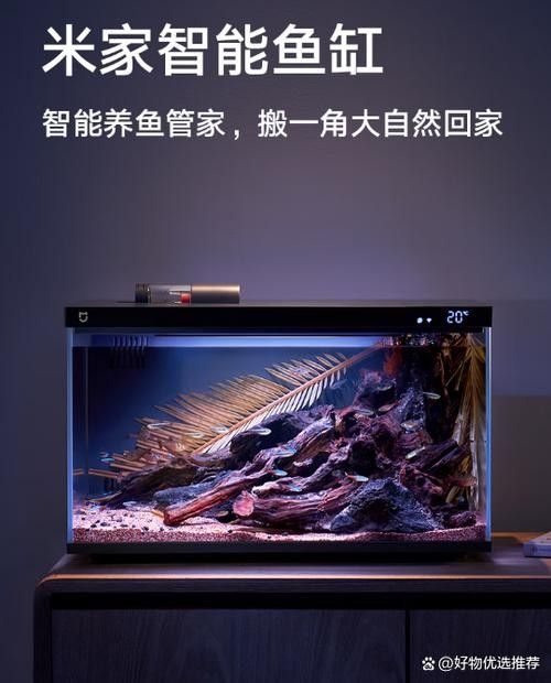有哪些品牌的電子魚缸屏推薦？（2025年值得關注的電子魚缸屏品牌top10權威榜單） 有哪些品牌的電子魚缸屏推薦？（2025年值得關注的電子魚缸屏品牌top10權威榜單） 龍魚百科 第4張