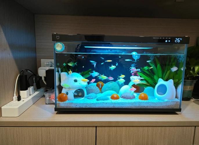 有哪些品牌的電子魚缸屏推薦？（2025年值得關注的電子魚缸屏品牌top10權威榜單） 有哪些品牌的電子魚缸屏推薦？（2025年值得關注的電子魚缸屏品牌top10權威榜單） 龍魚百科 第6張