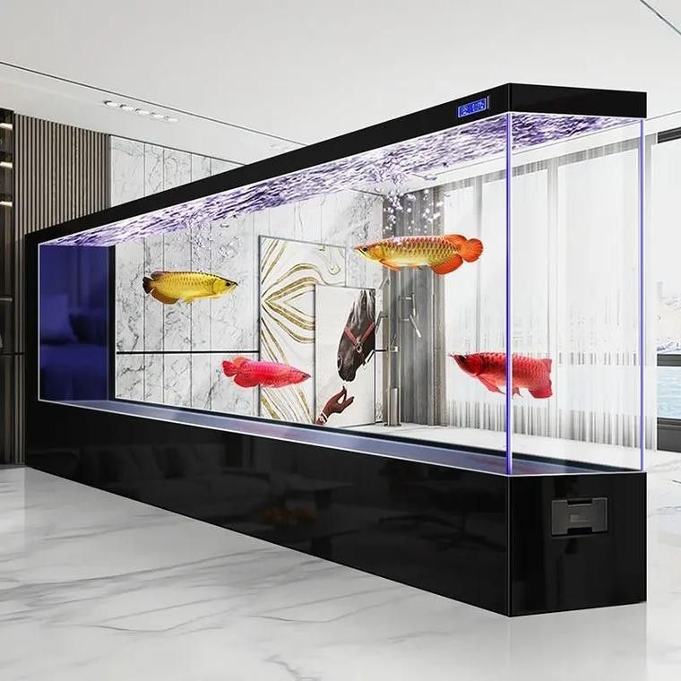 有哪些品牌的電子魚缸屏推薦？（2025年值得關注的電子魚缸屏品牌top10權威榜單） 有哪些品牌的電子魚缸屏推薦？（2025年值得關注的電子魚缸屏品牌top10權威榜單） 龍魚百科 第8張