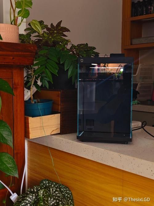 有哪些品牌的電子魚缸屏推薦？（2025年值得關注的電子魚缸屏品牌top10權威榜單） 有哪些品牌的電子魚缸屏推薦？（2025年值得關注的電子魚缸屏品牌top10權威榜單） 龍魚百科 第7張