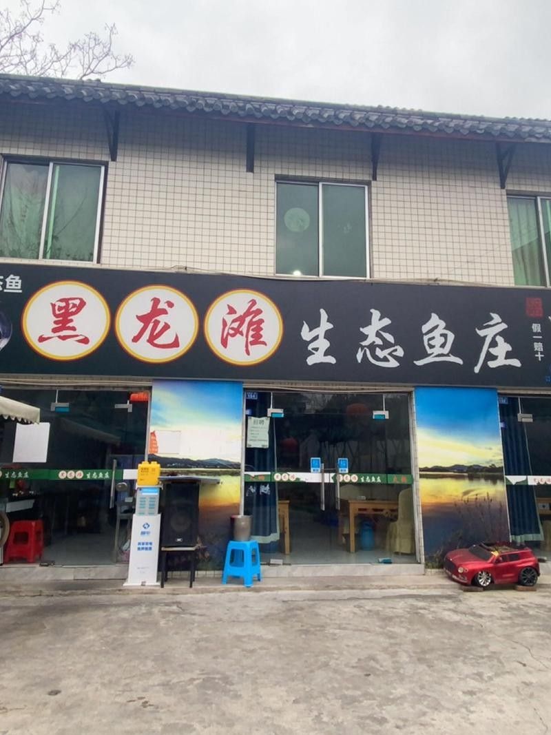 如何前往小黑龍魚館溪水家園店（尋甸小黑龍魚館溪水家園附近魚館溪水家園店何時(shí)開業(yè)）